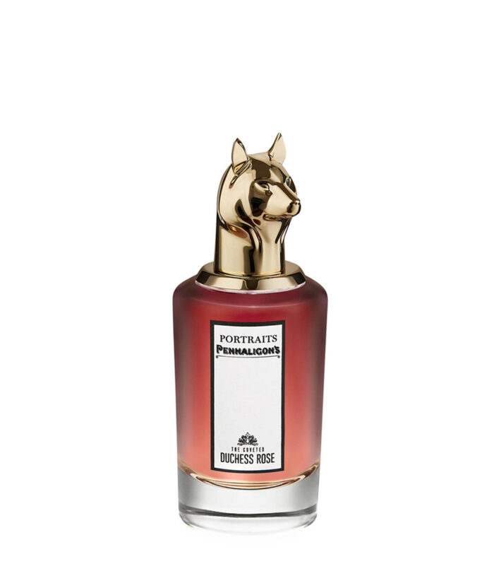 THE COVETED DUCHESS ROSE